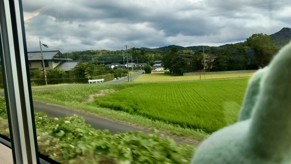 山陰本線特急車内から見えた車窓写真。田園風景。手前にふかふか手枕。