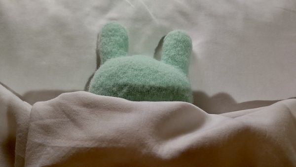 ふとんの写真。ふとんからふかふか手枕が顔を出している。