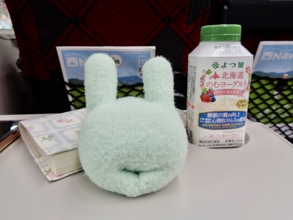 長野新幹線普通席の写真。テーブルの上に文庫本と飲むヨーグルト、ストレッチボールが置いてある。
