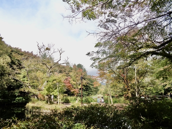 雲場池入り口の写真