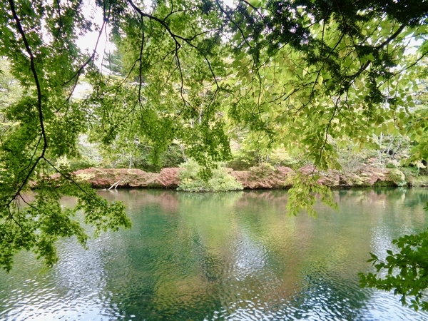 雲場池の写真
