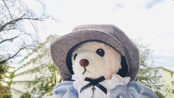 ぬいぐるみの写真。エプロンドレスを着たくまが空を見ている。