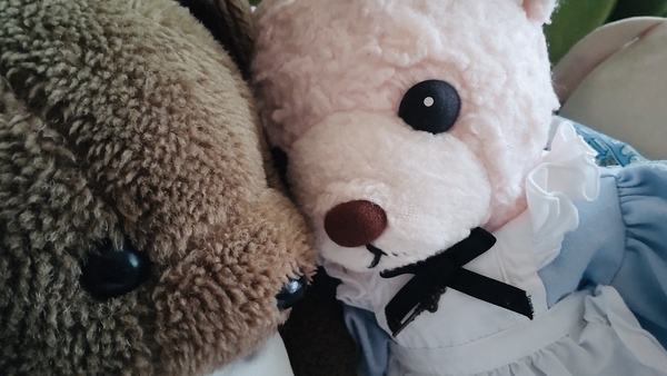 ぬいぐるみの写真。ねむそうなくまがほかのくまによりかかっている。