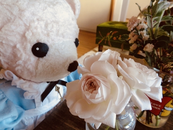 花とぬいぐるみの写真。エプロンドレスを着たくまが花を見ている。