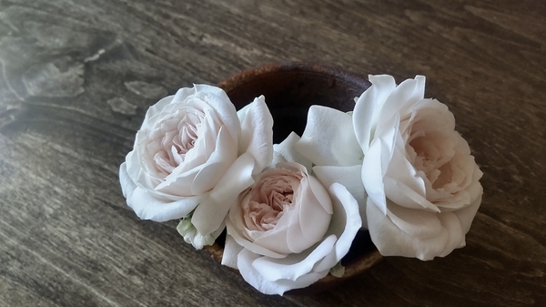 切り花の写真。小さな器にバラが三輪、活けられている。
