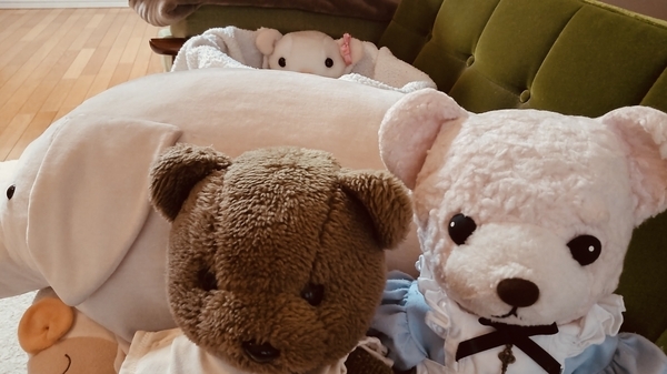 ぬいぐるみの写真。くまが二方、子豚によりかかっている。
