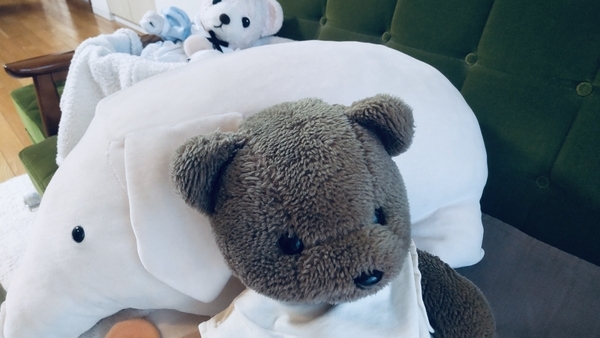 ぬいぐるみの写真。くまが子豚によりかかって休んでいる。