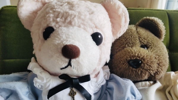 ぬいぐるみの写真。くまが二方、仲良くくっついている。
