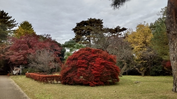 自由学園敷地写真