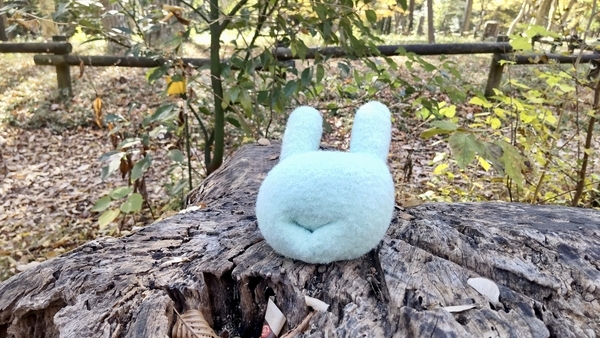 木の切り株の上にいるふかふか手まくらの写真