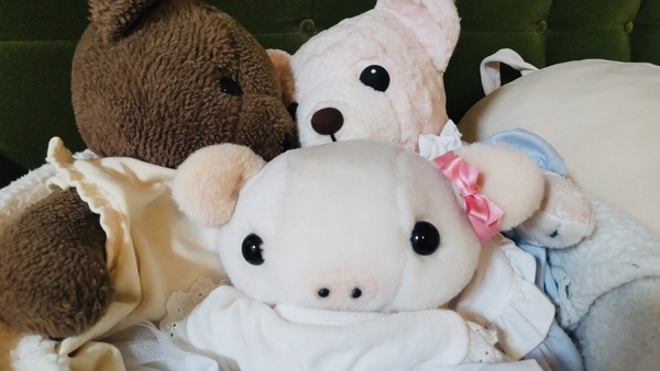 ぬいぐるみの写真