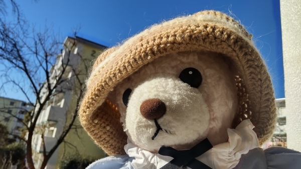エプロンドレスを着てニットの帽子をかぶっているくまが空を見ている。