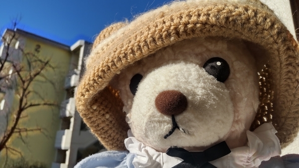 エプロンドレスを着てニットの帽子をかぶっているくまが空を見ている。