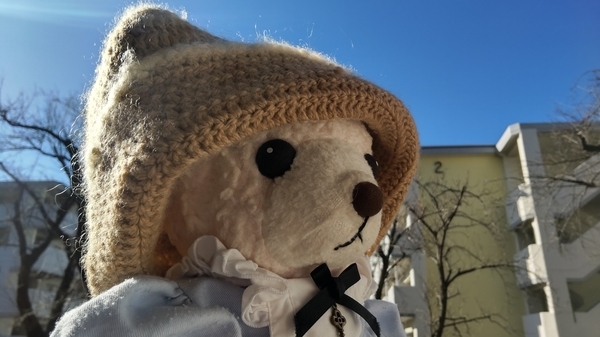 ぬいぐるみの写真。エプロンドレスを着てニットの帽子をかぶっているくまが空を見ている。