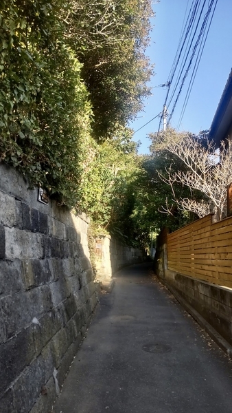 石塀わきの路地の写真