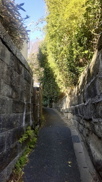 石塀に挟まれた路地の写真