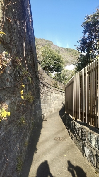 石塀に挟まれた路地の写真