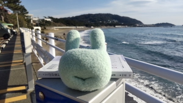 海辺の写真。ストレッチボールが手前に写っている。