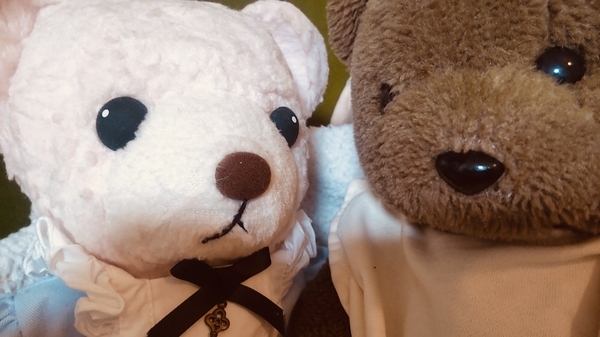 ぬいぐるみの写真。くまが二方。
