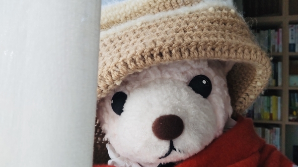 ぬいぐるみの写真。ニット帽をかぶってマフラーしたくまがこちらを見ている。