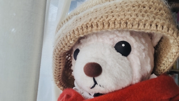 ぬいぐるみの写真。ニット帽をかぶってマフラーをしたくまが窓の外を見ている。