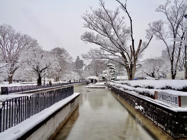 雪の降る公園の写真