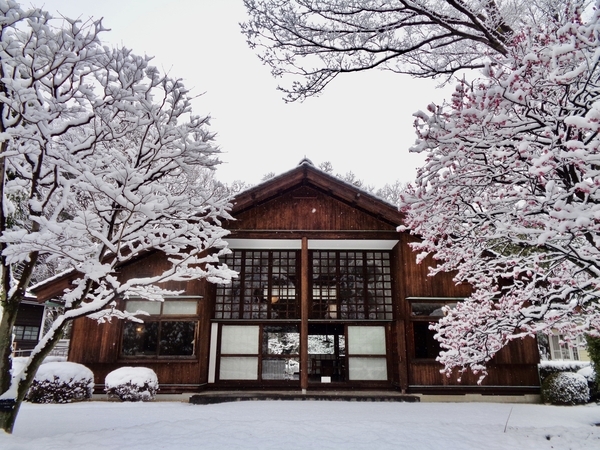 切妻屋根の家の写真。手前に梅の木があって、雪が積もっている。