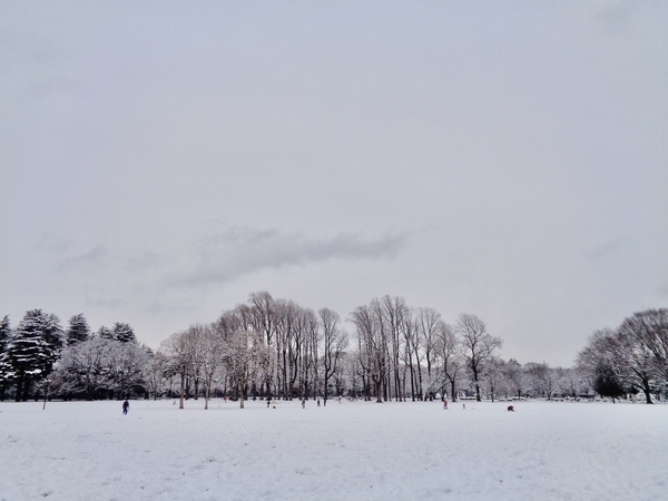 公園の広場の写真。うすく雪がつもっている。