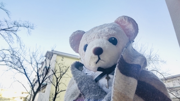 ぬいぐるみの写真。マフラーを肩からかけているくま。