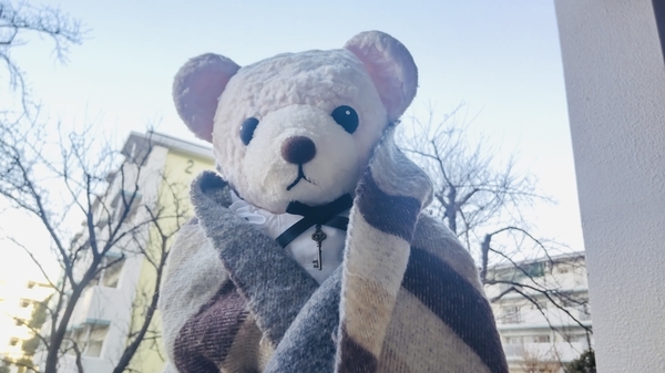 ぬいぐるみの写真。肩にマフラーをかけているくま。
