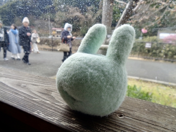 居酒屋店内の写真。まどべにストレッチボール。名前はおぱこ。
