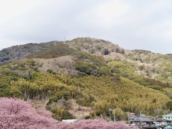山の写真。木々が色とりどりになっている。