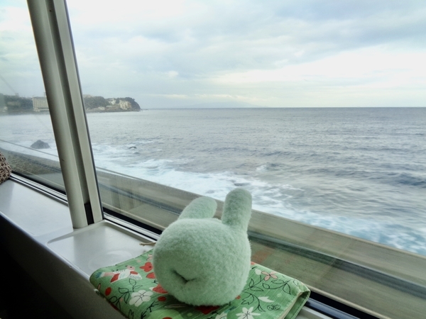 特急踊り子号車内の写真。車窓から海が見える。窓際にふかふか手まくらが写っている。名前はおぱこ。