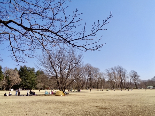 公園の写真