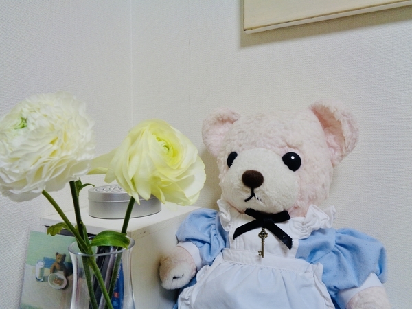 ぬいぐるみの写真。エプロンドレスを着たくま。花瓶のラナンキュラスを見ている。