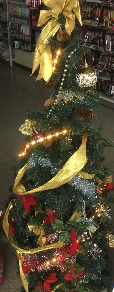 f:id:poolbooyer:20181218235933j:plain