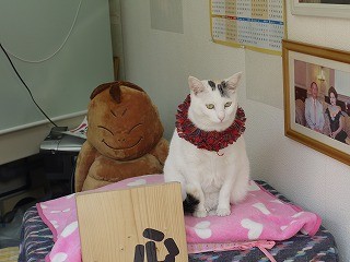 f:id:pooti:20100214234113j:image