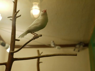 f:id:pooti:20100214234126j:image