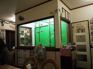 f:id:pooti:20100214234127j:image