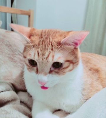 f:id:pop-funeral-pop:20191008113404j:plain f:id:pop-funeral-pop:20191008113404j:plain