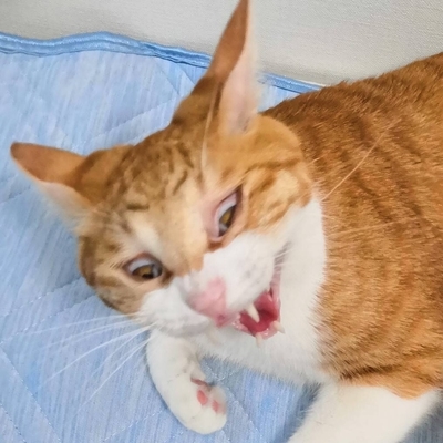 f:id:pop-funeral-pop:20191008113551j:plain f:id:pop-funeral-pop:20191008113551j:plain