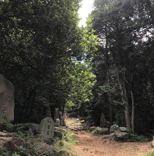 f:id:pop-ran:20180908182103j:plain