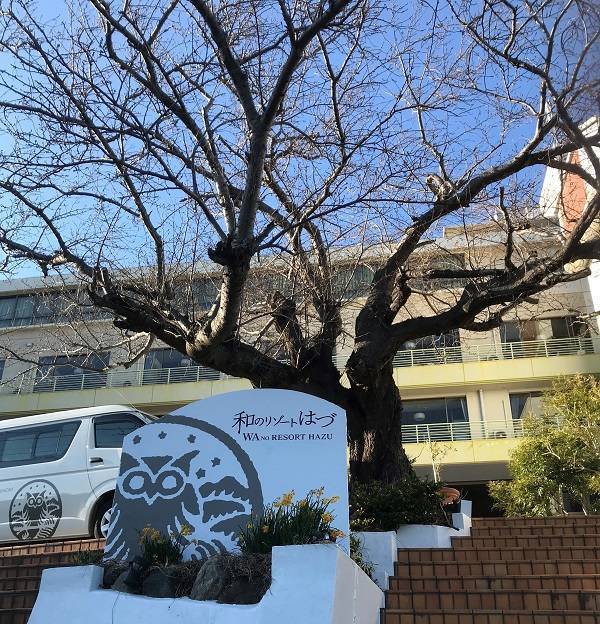 f:id:pop-ran:20180915161737j:plain