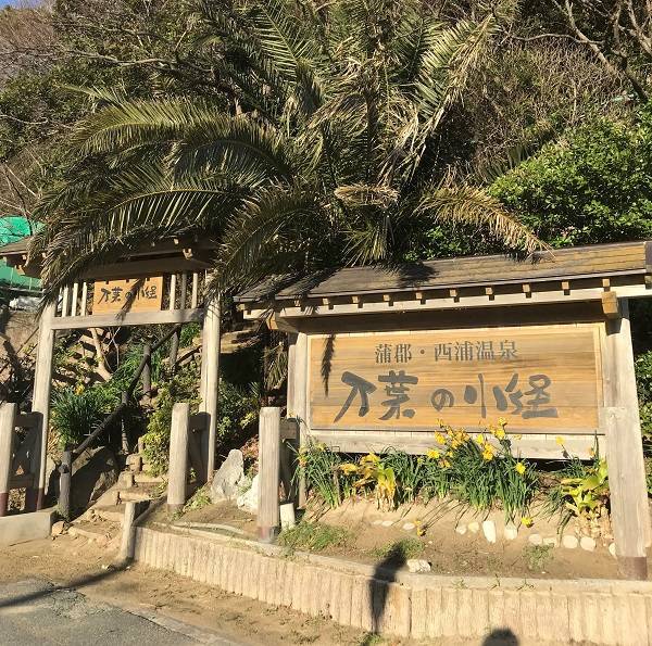 f:id:pop-ran:20180915170427j:plain