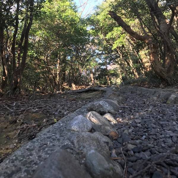 f:id:pop-ran:20180915170526j:plain