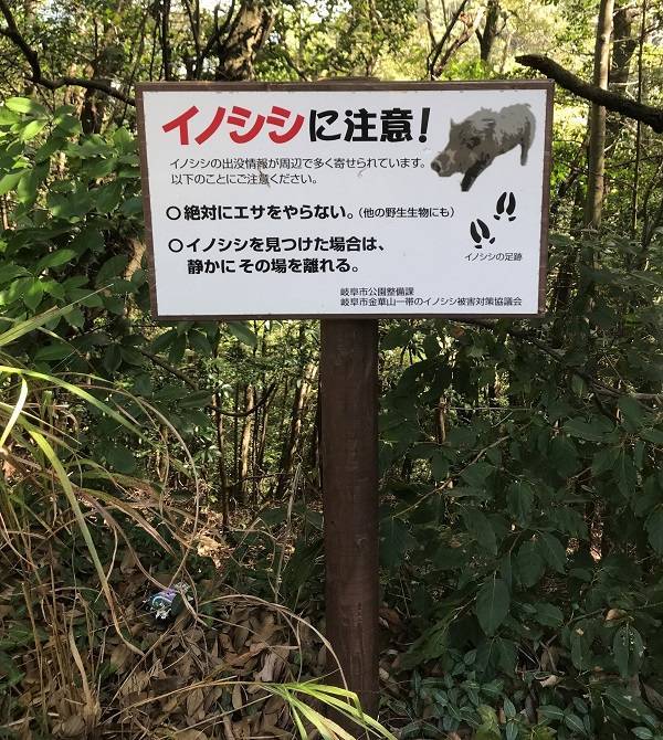 f:id:pop-ran:20180917215344j:plain