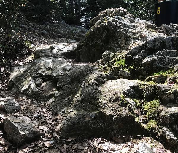 f:id:pop-ran:20180917215558j:plain