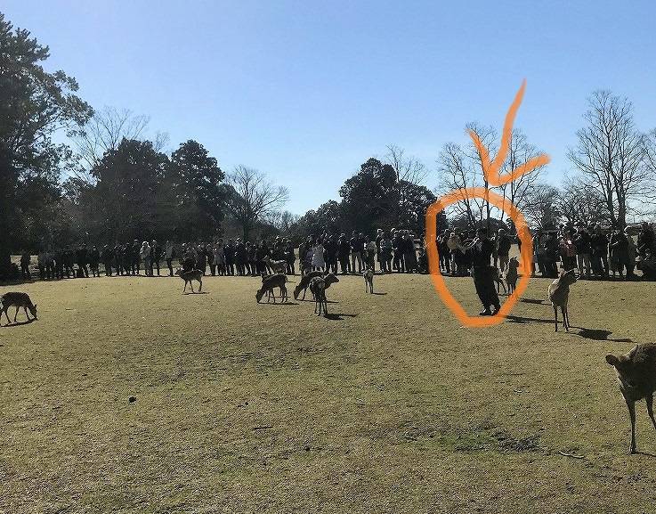 f:id:pop-ran:20190313200427j:plain