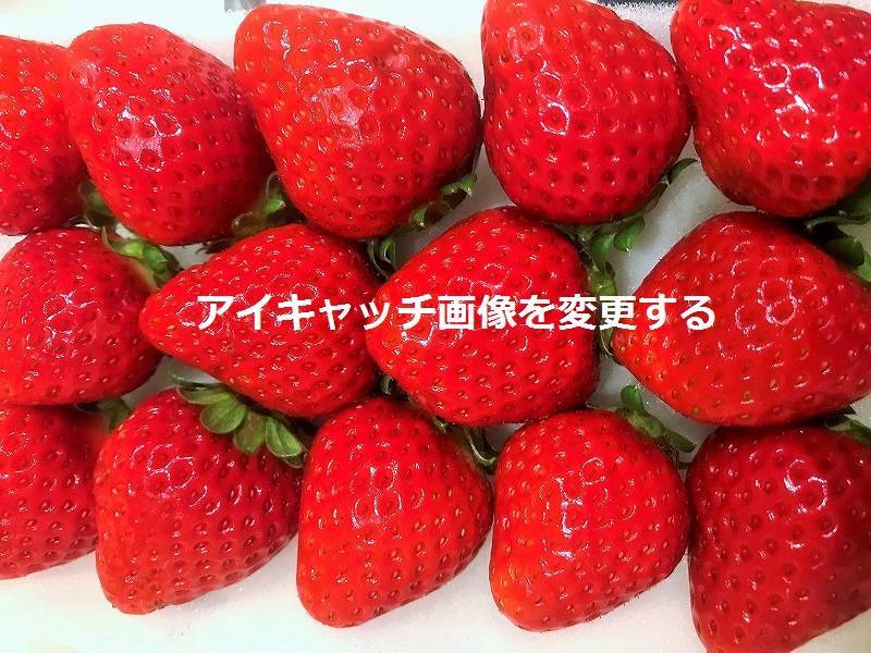 f:id:pop-ran:20190321214307j:plain f:id:pop-ran:20190321214307j:plain