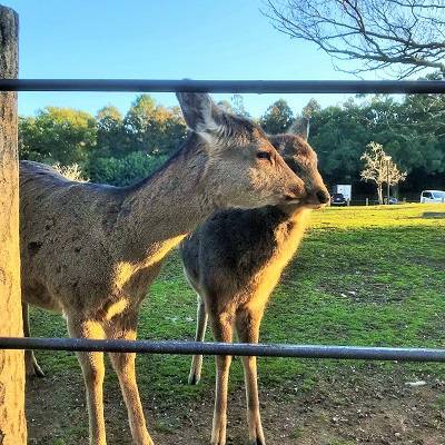 f:id:pop-ran:20190324170515j:plain